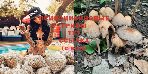 крисы Алексин
