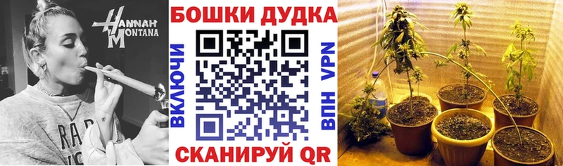 кракен рабочий сайт  что такое наркотик  Звенигово  Канабис VHQ 
